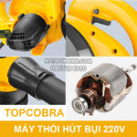 chuyen ban ca loai may thoi bui va hut bui gia re