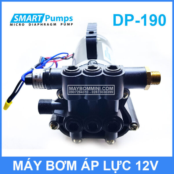 dau bom ap luc 12v DP 190 Smartpumps