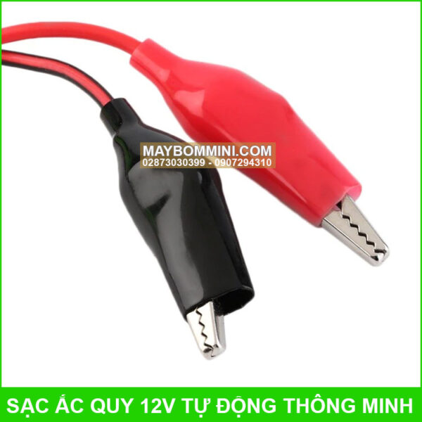 dau kep binh ac quy oto xe may