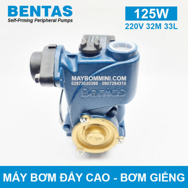 dau may bom pentas 125w chinh hang