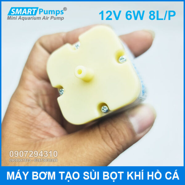 dau ra gan ong may bom sui bot khi ho ca