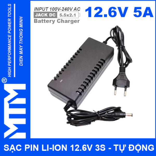 gia ban sac pin Li ion 12V6 3S 5A co quat Charger 12V Lithium Iron Phosphate Battery