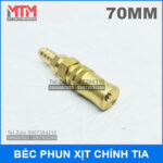 gia bec rua xe chinh tia ap luc