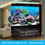 ho ca trong nha sieu dep