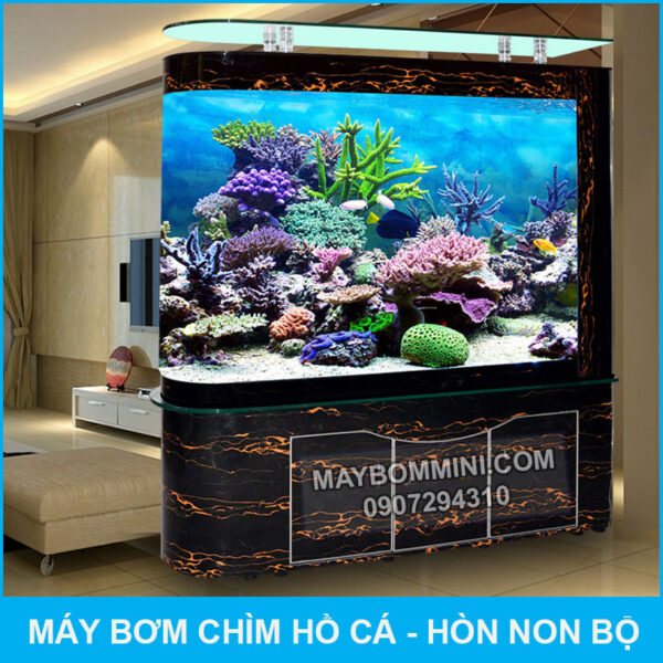 ho ca trong nha sieu dep