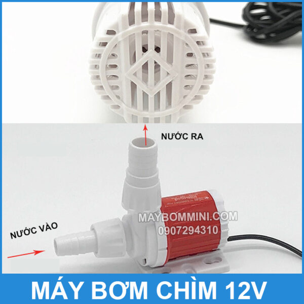 hoat dong bom chim 12v mini gia re
