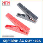 kep ac quy 12V 24V 100A