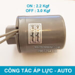 lap cong tac role tu dong cho may bom nuoc