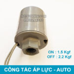 lap may bom nuoc tu dong gia dinh