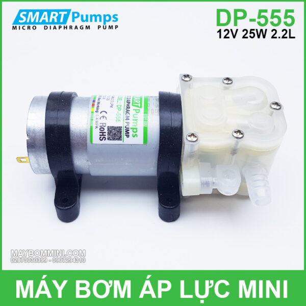 may bom 12v gia re DP 555