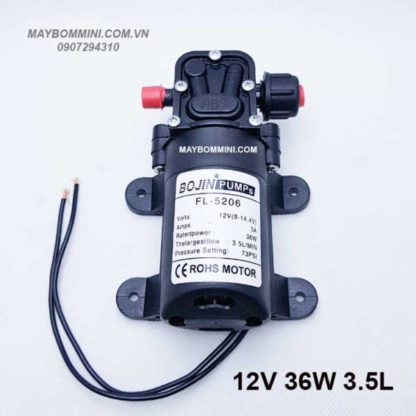 may bom ap luc 12v 36w 1