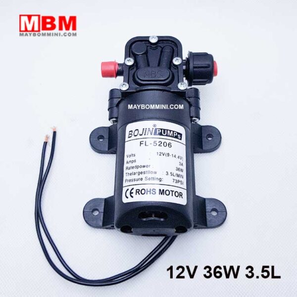 may bom ap luc 12v 36w