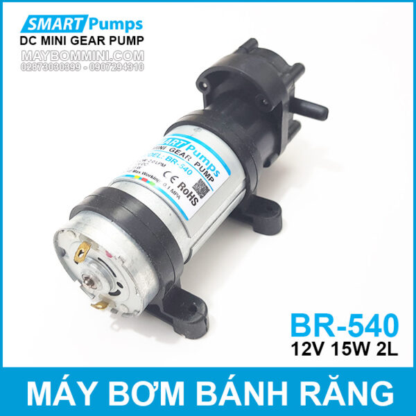 may bom bang banh rang 12V Smartpumps