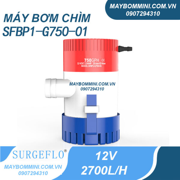 may bom chim 12v g750 01