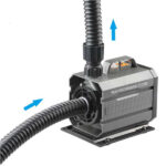 may bom chim HQB 220v 1