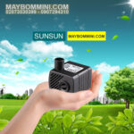 may bom chim mini ho ca nho