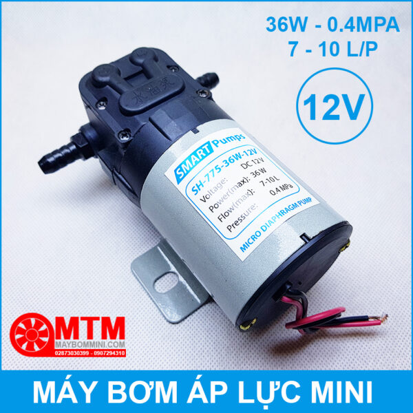 may bom dau 12V ap luc mini
