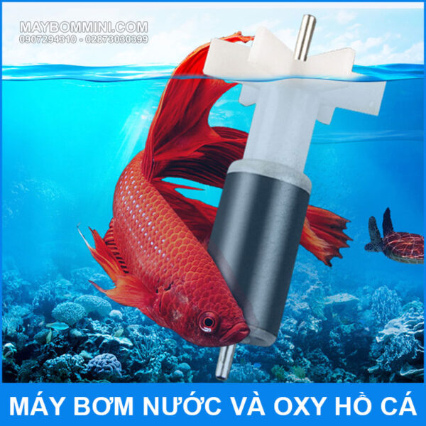 may bom khong choi than cao cap