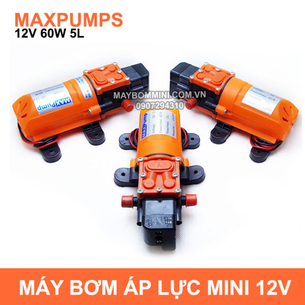 may bom mini ap luc 12v 60w maxpumps