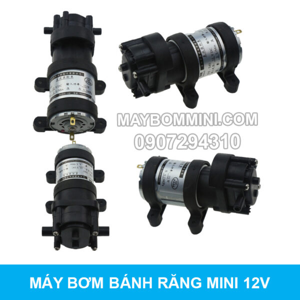 may bom mini banh rang 12v 4l