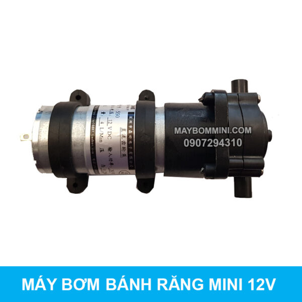 may bom nuoc banh rang 12v