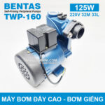 may bom nuoc bentas ching hang 125w