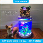 may bom nuoc cho ho phong thuy