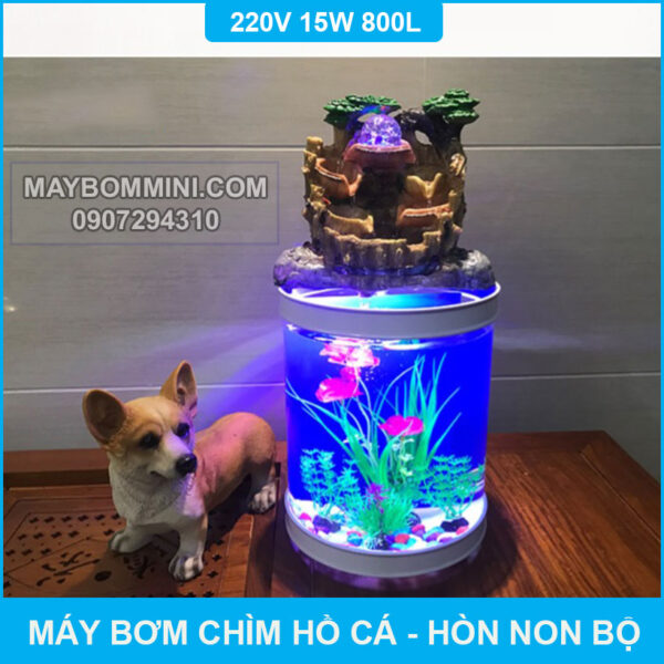 may bom nuoc cho ho phong thuy