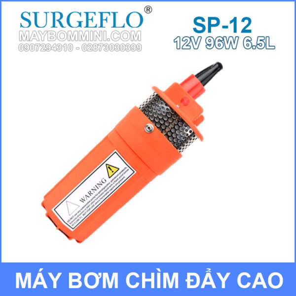 may bom nuoc day cao 12v gia re