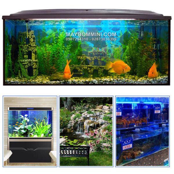 may bom nuoc ho be ca trong nha cao cap