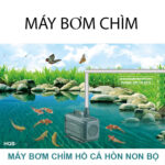 may bom nuoc ho ca hon non bo 1