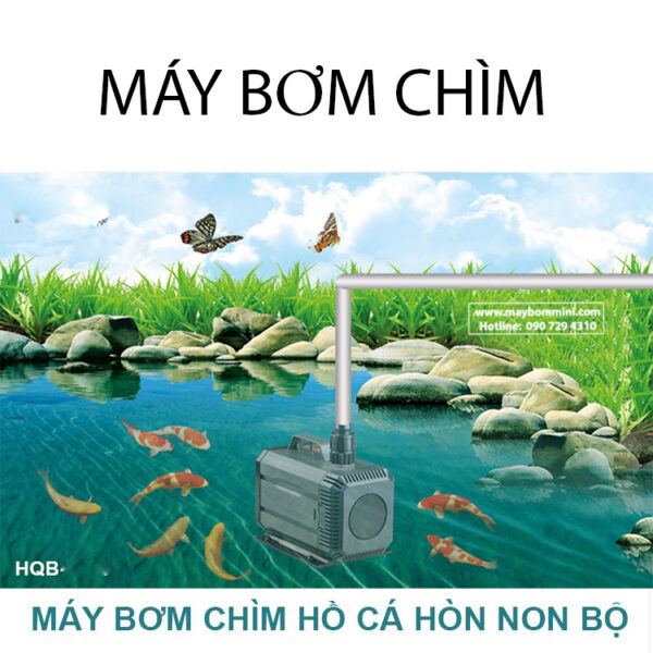 may bom nuoc ho ca hon non bo 1
