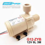 may bom nuoc mini 12V G12 ZYB