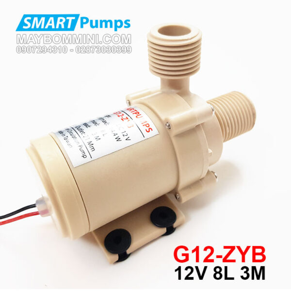 may bom nuoc mini 12V G12 ZYB