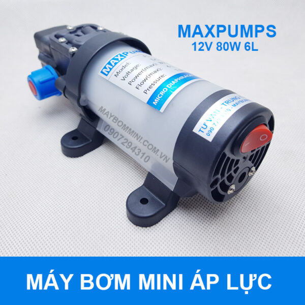 may bom nuoc mini 12v ap luc