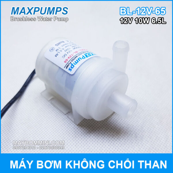 may bom nuoc mini khong choi than 12V 10W Maxpumps