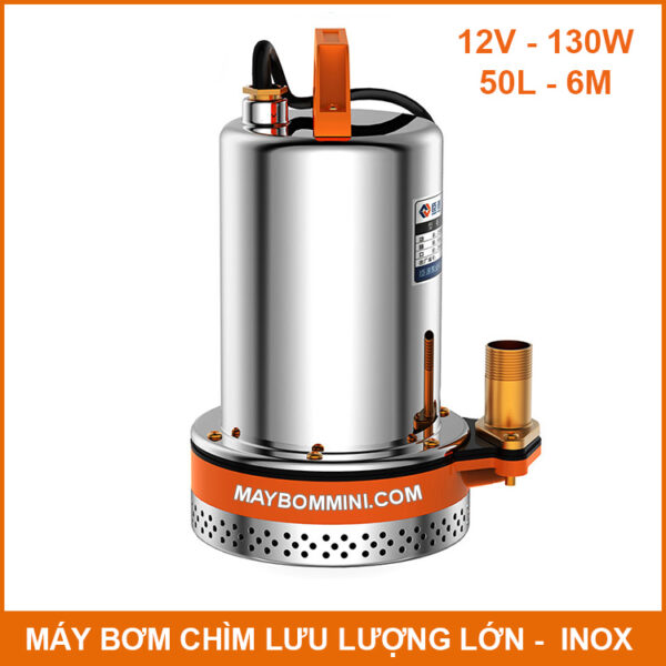 may bom nuoc ngap 12V