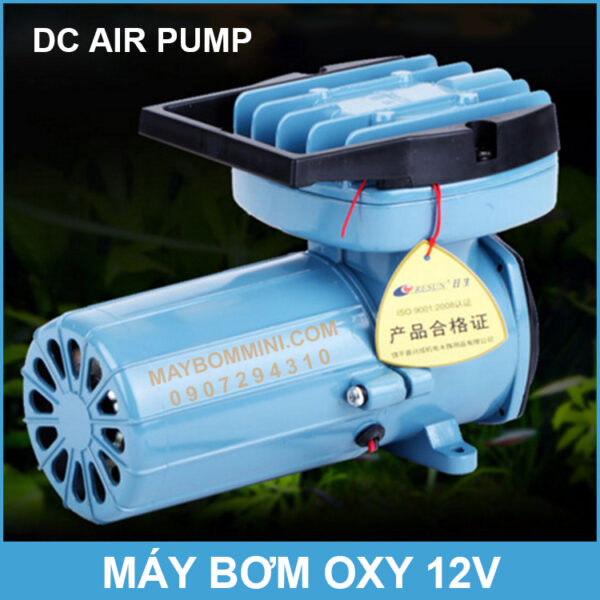 may bom oxy DC Oxygen Air Pump
