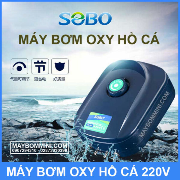 may bom oxy ho ca gia dinh