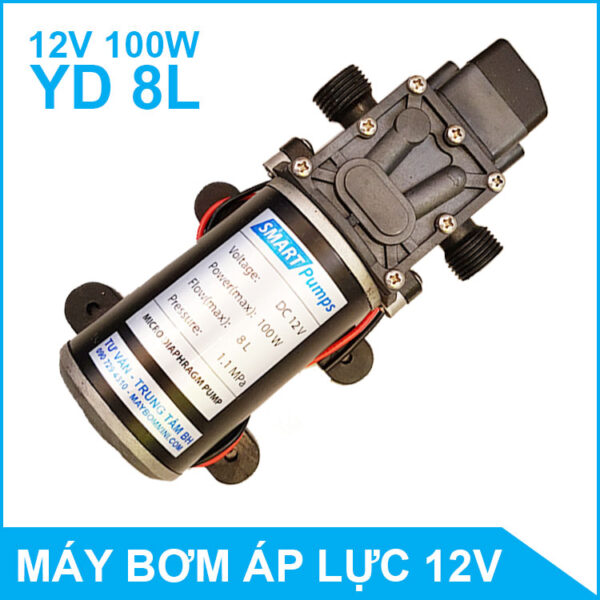 may bom rua xe mini 12v 1