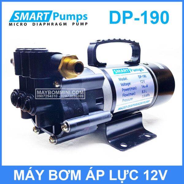 may bom smartpumps DP190