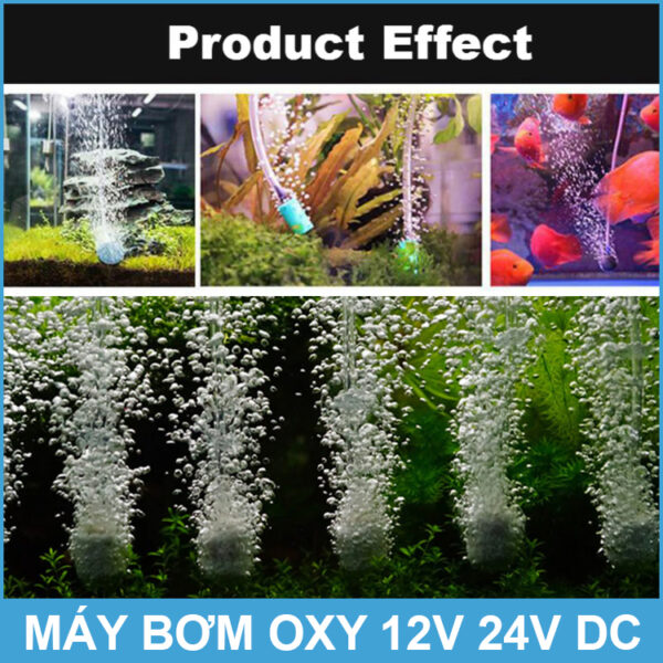 may tao oxy cho ho be ca nuoi