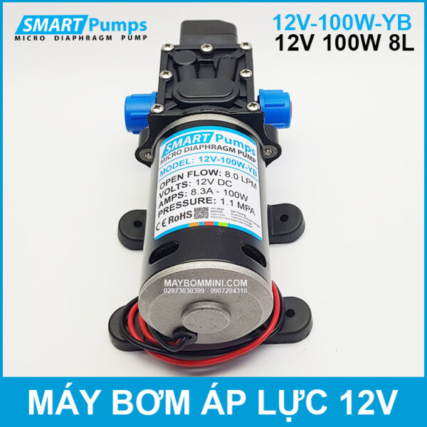 micro diaphragm pump 12v 100w