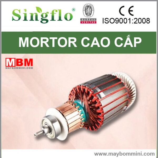mortor 12v 24v cao cap