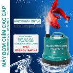 mua ban mya bom chim ho ca hon non bo gia re