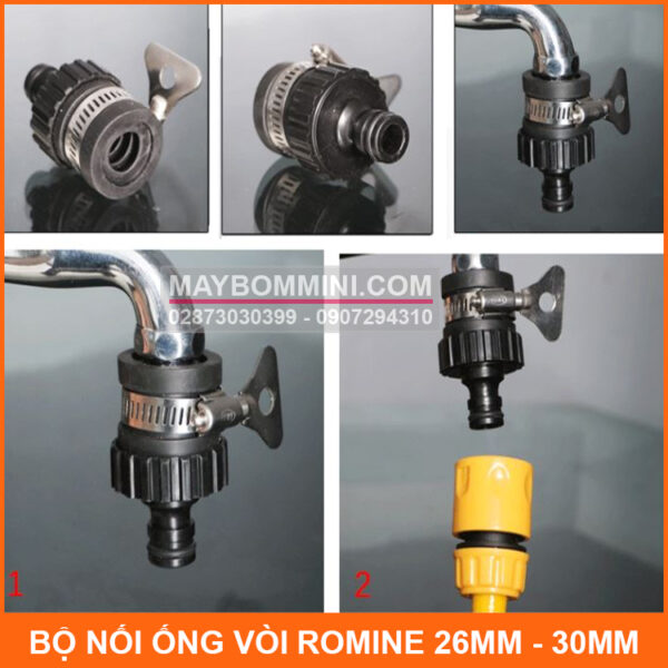 noi ong nuoc va voi romine