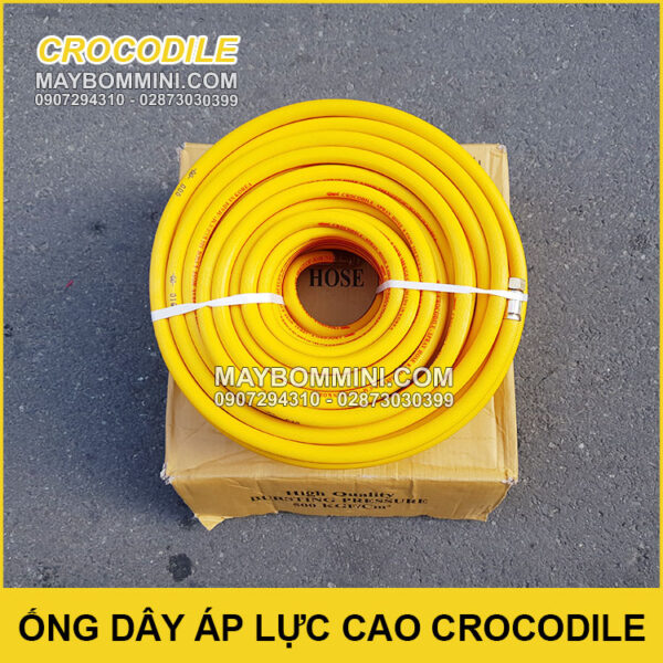 ong-ap-luc-cao-Crocodile.jpg ong ap luc cao Crocodile
