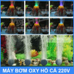 oxy cho ho ca be ca gia dinh trong nha