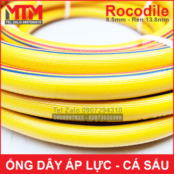 phan phoi ong ap luc ca sau