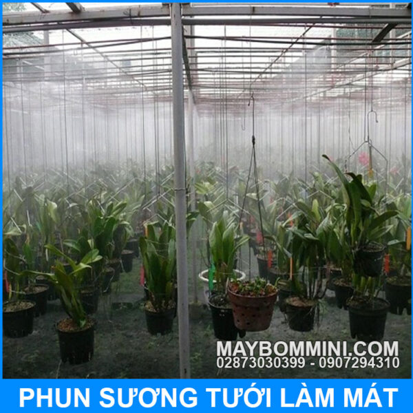 phun tuoi lan